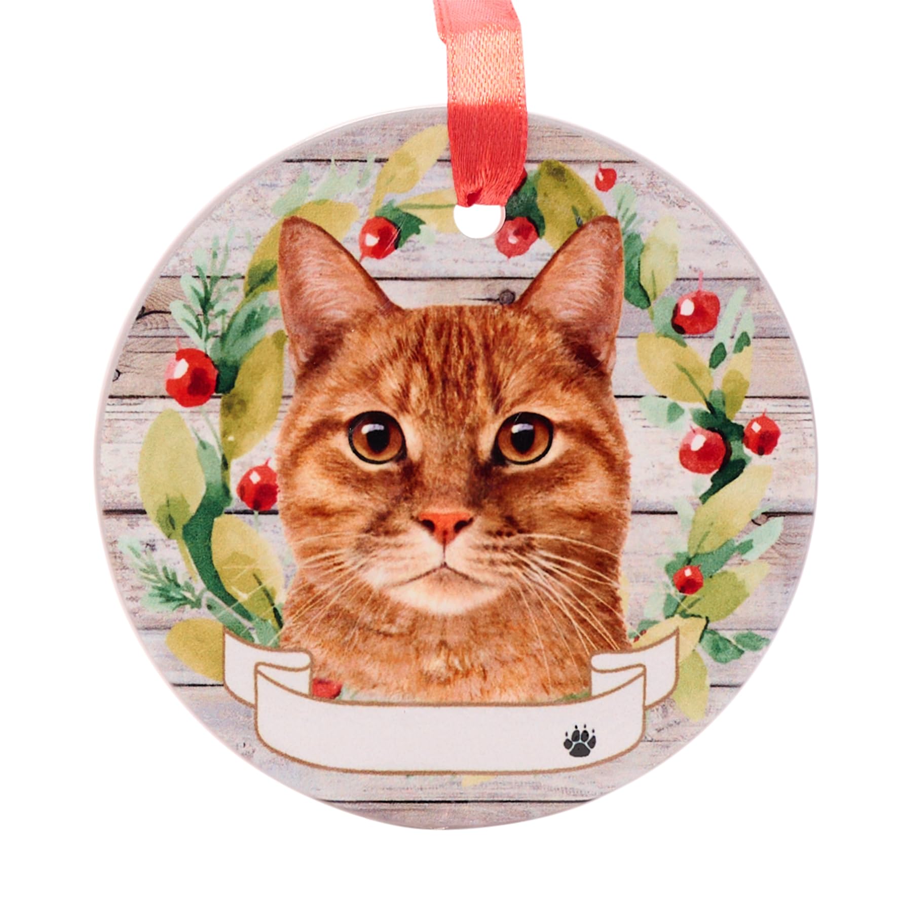 Ceramic Pet hanging Christmas tree decoration or memorial, animal image with space to write own name (supplied blank), attached ribbon hanger, 9cm diameter (Ginger Cat)