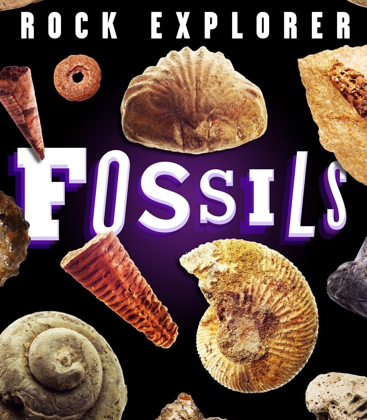 Rock Explorer: Fossils: 1