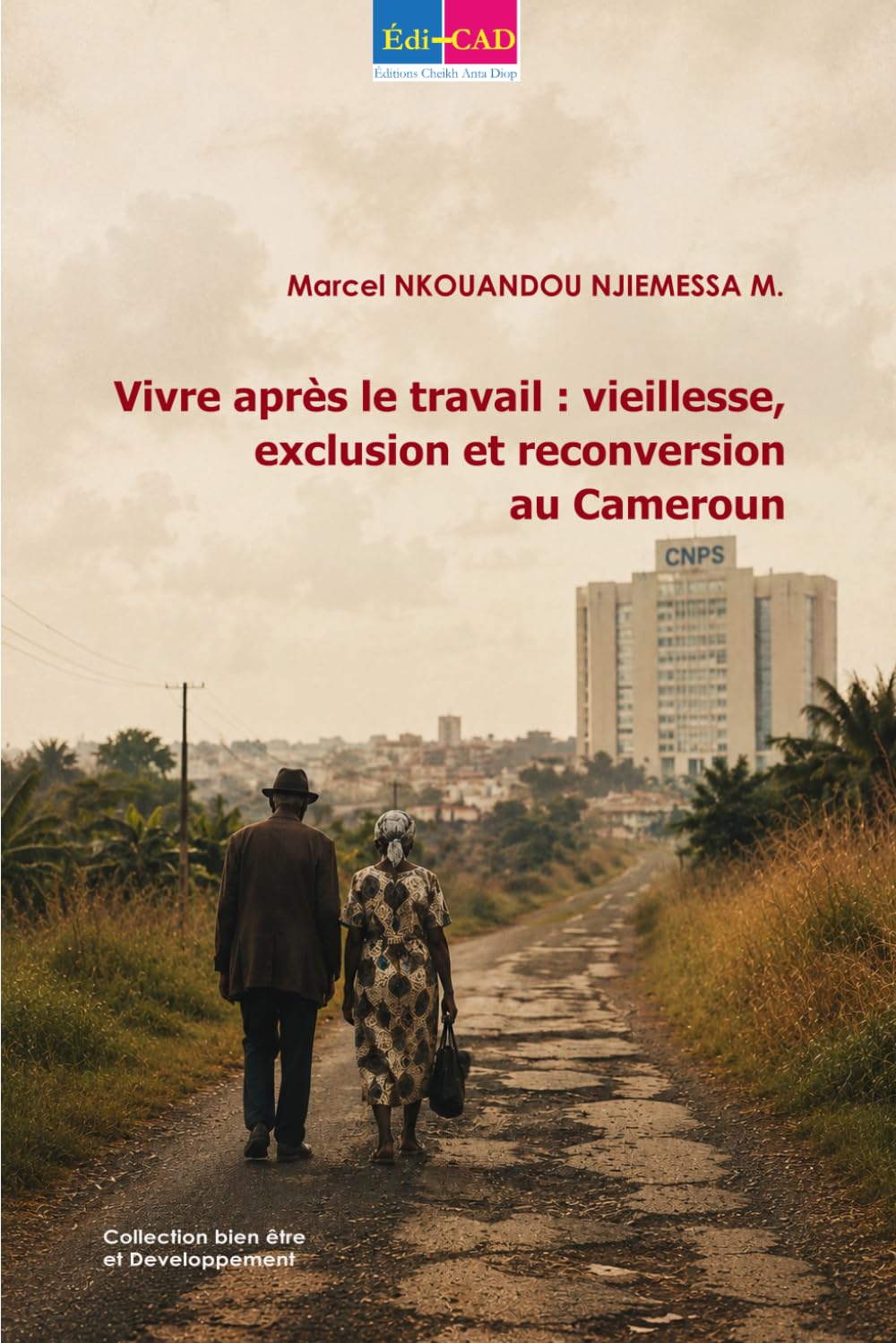 Vivre après le travail : vieillesse, exclusion et reconversion au Cameroun