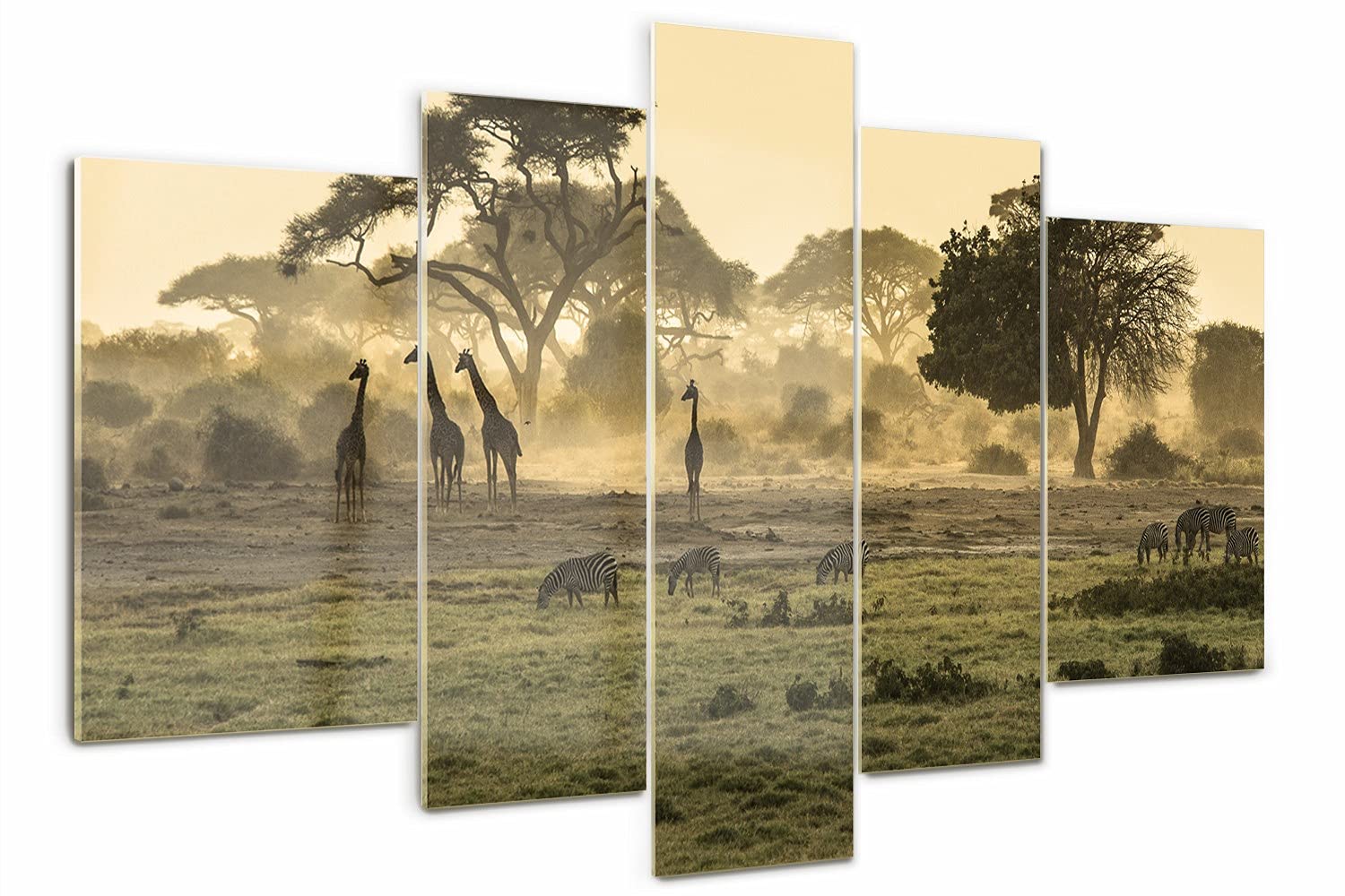 Tableau sur verre 5 pièces haut de gamme 170x100cm art mural savane