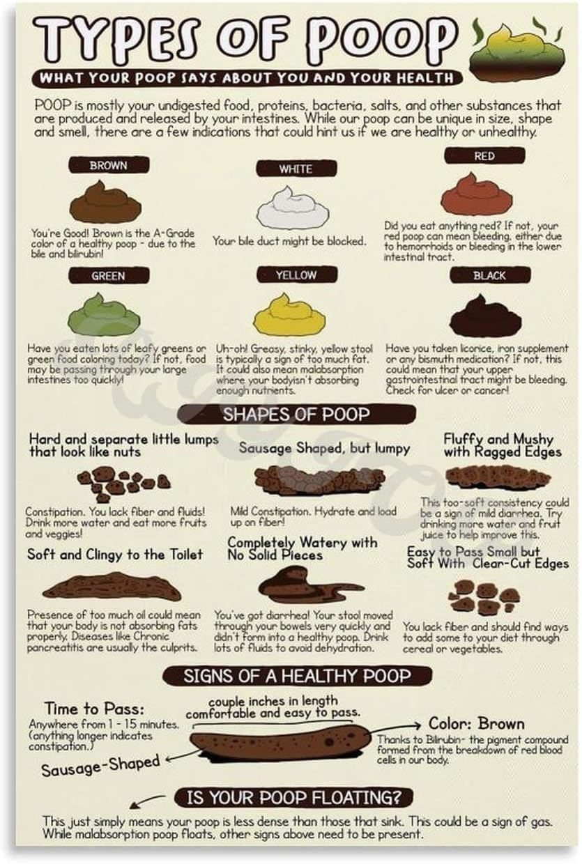 PIVJHF Poop Chart Bristol Stool Poster Metal Tin Sign Decor for Living Room Aesthetic Sign 8x12 inch