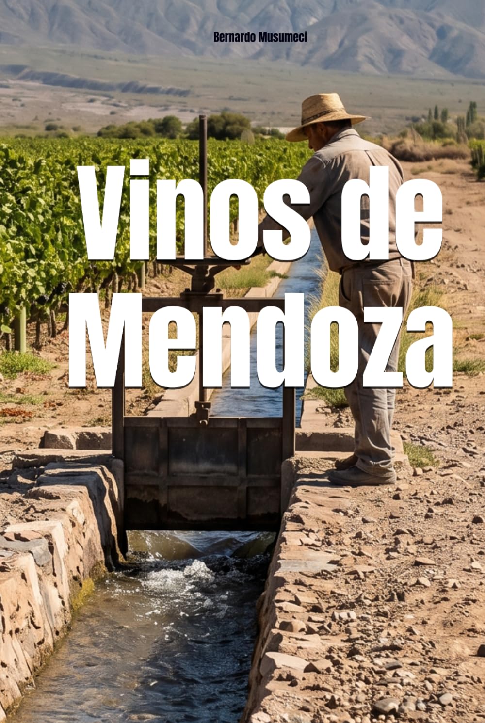 Vinos de Mendoza (Wines of the World: Argentina)
