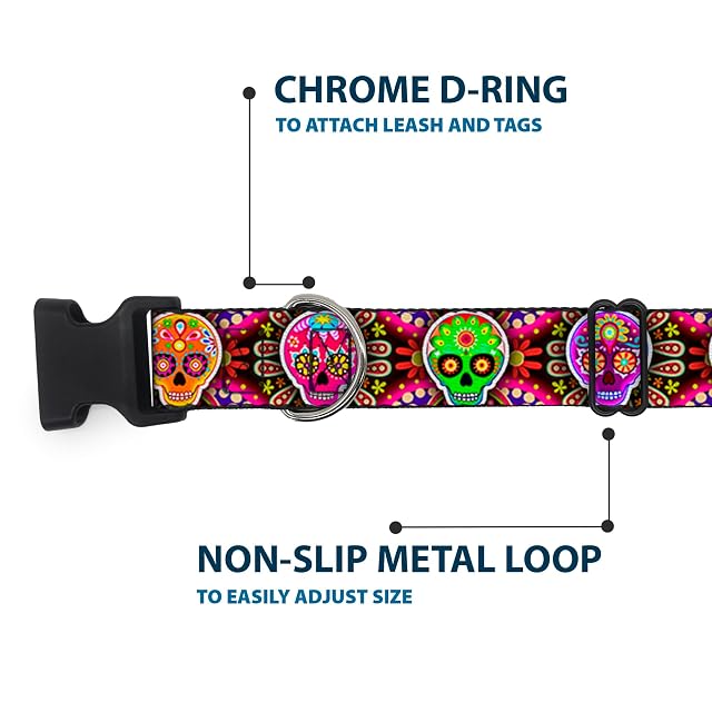 Foto 4 de 8 de Buckle Down Seis azúcar Calaveras Multi Color plástico Clip Collar