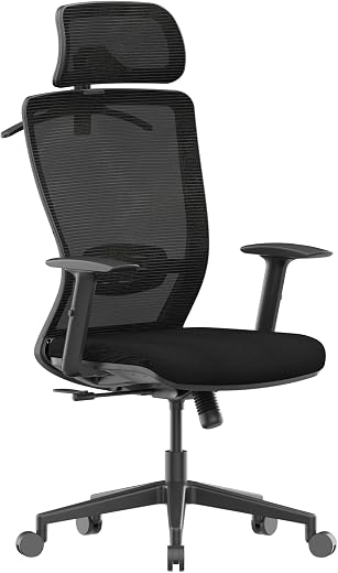 FLEXISPOT Ergonomic Office Chair, High Back Home Office Desk Chairs with Adjustable Lumbar Support, Armrests,90-130° Tilt ...