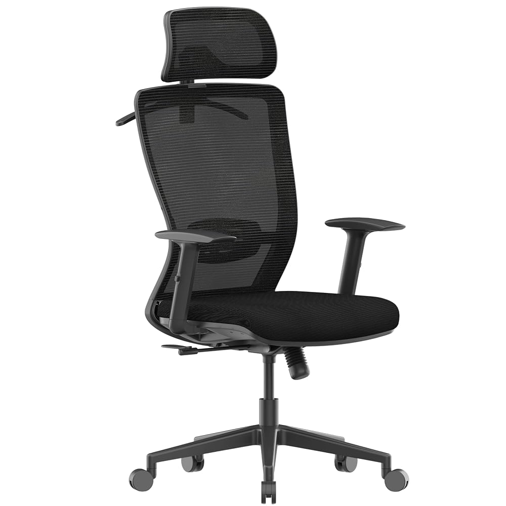FLEXISPOT Ergonomic Office Chair, High Back Mesh Home Office Desk Chairs