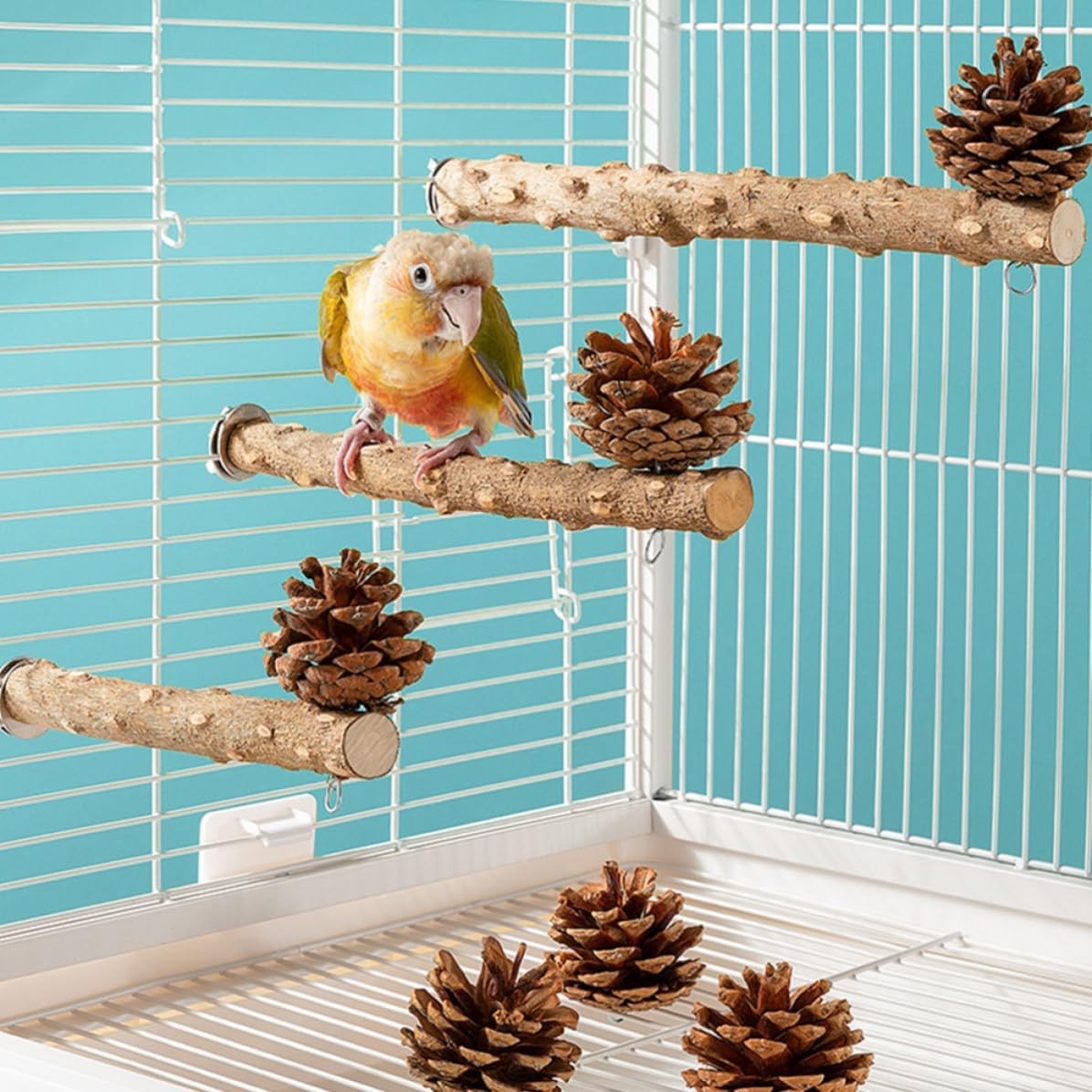 Vaguelly Wear-Resistant Wooden Bird Stand for Parrots and Birds Cage Perch with Natural Pinecone Decoration for Home Decoration