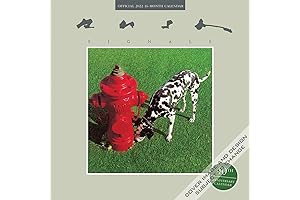 Rush Cycling Calendar 2022: The Ultimate Monthly Guide to Cycling Events