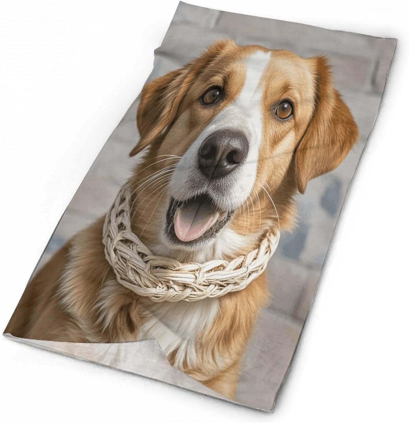 Funny Animal Dog Neck Gaiter for Men Women Cooling Wrap Headwear Winter Head Wrap Scarf Beautiful Headband Personality Balaclava Sport Magic Scarf Windproof Hair Bandana