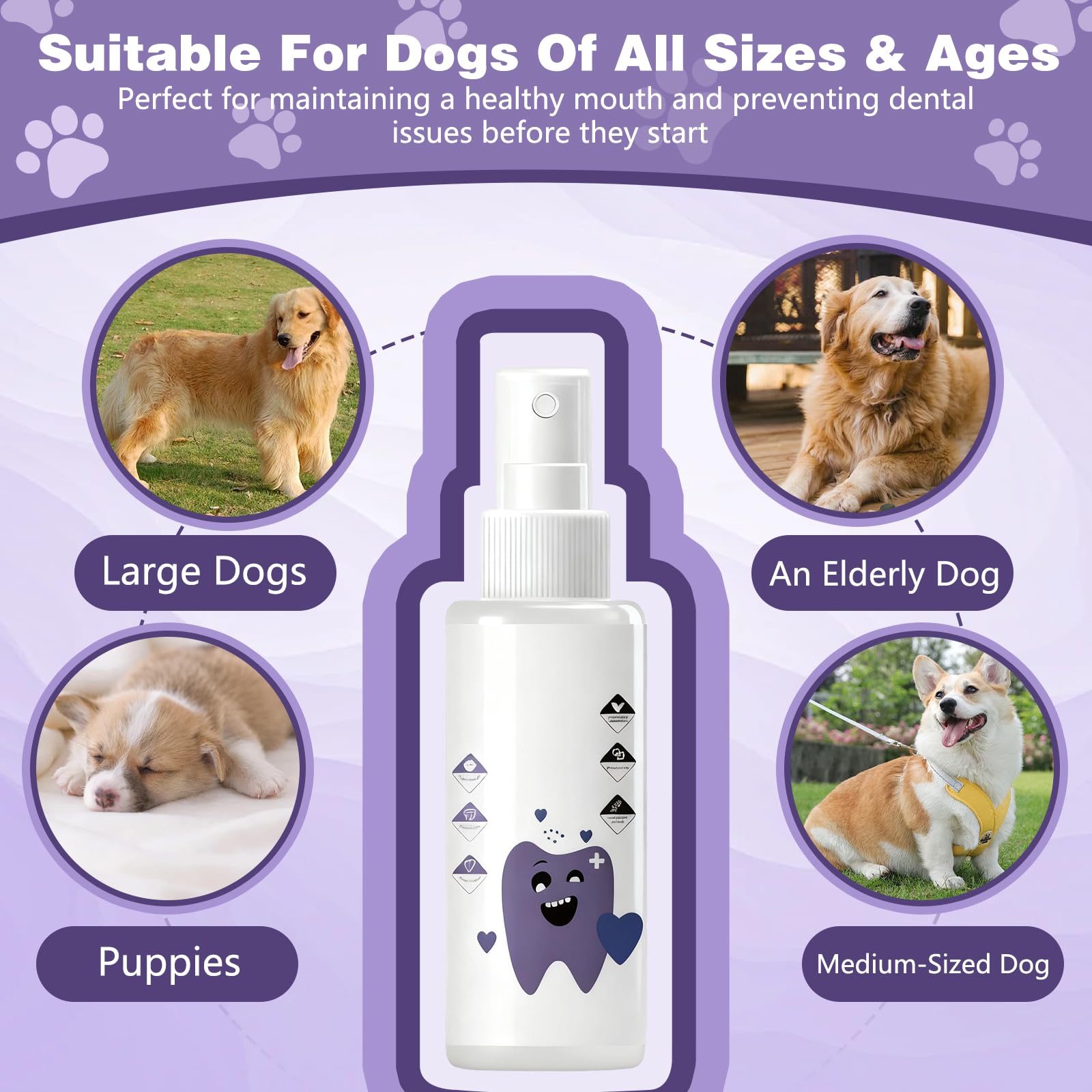 Pawbright Dental Plus, Pet Dental Formula Water Additive, Odorless & Flavorless Formula to Fight Tartar, Promote Healthy Gums & Freshen Breath. Easy Daily Use for All Pet - image 5