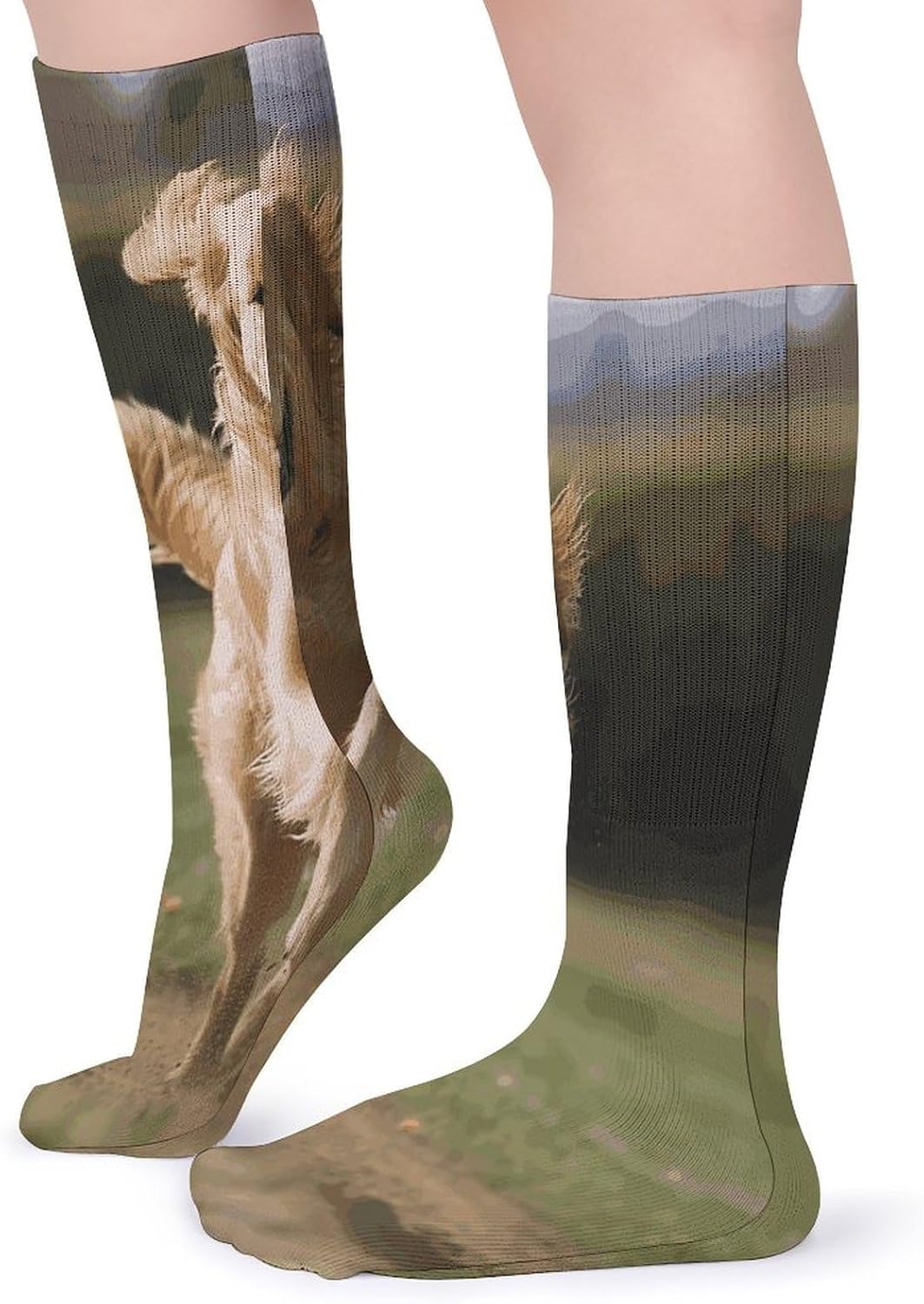 Golden Retriever Running Stocking - Cute Casual Long Athletic,Crew Sock for Men Women,Running Socks Soft Breathable for Gift