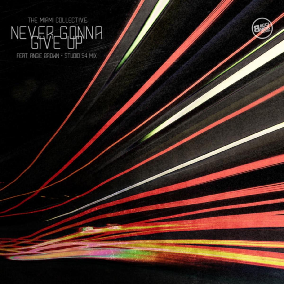 The Miami Collective