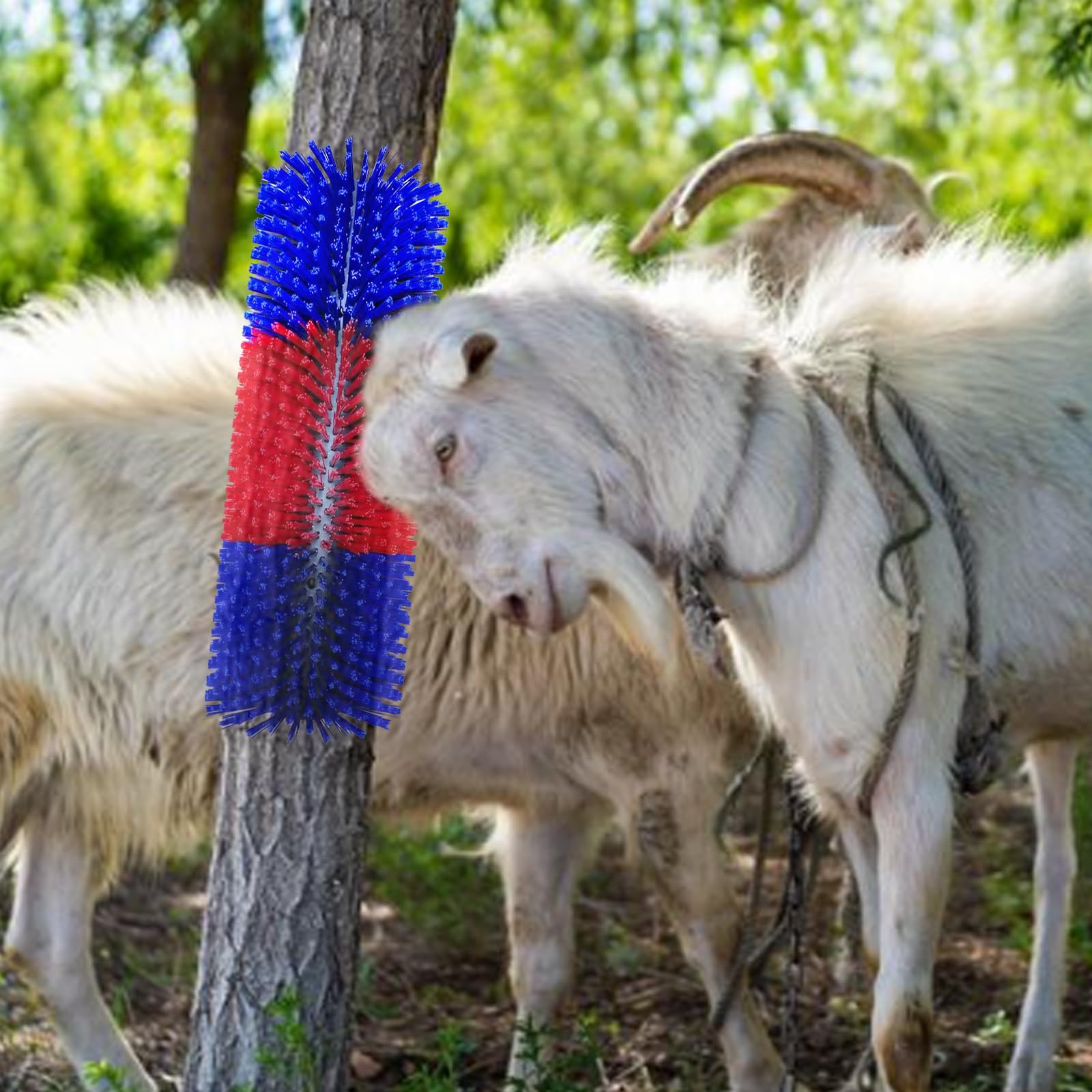 Brosse à Gratter pour Cheval Vache, Brosses à Cheval Semi-Rondes 40cm Brosses à Vache Brosse à Gratter Universelle Tapis à Gratter en Nylon, Rouge Bleu