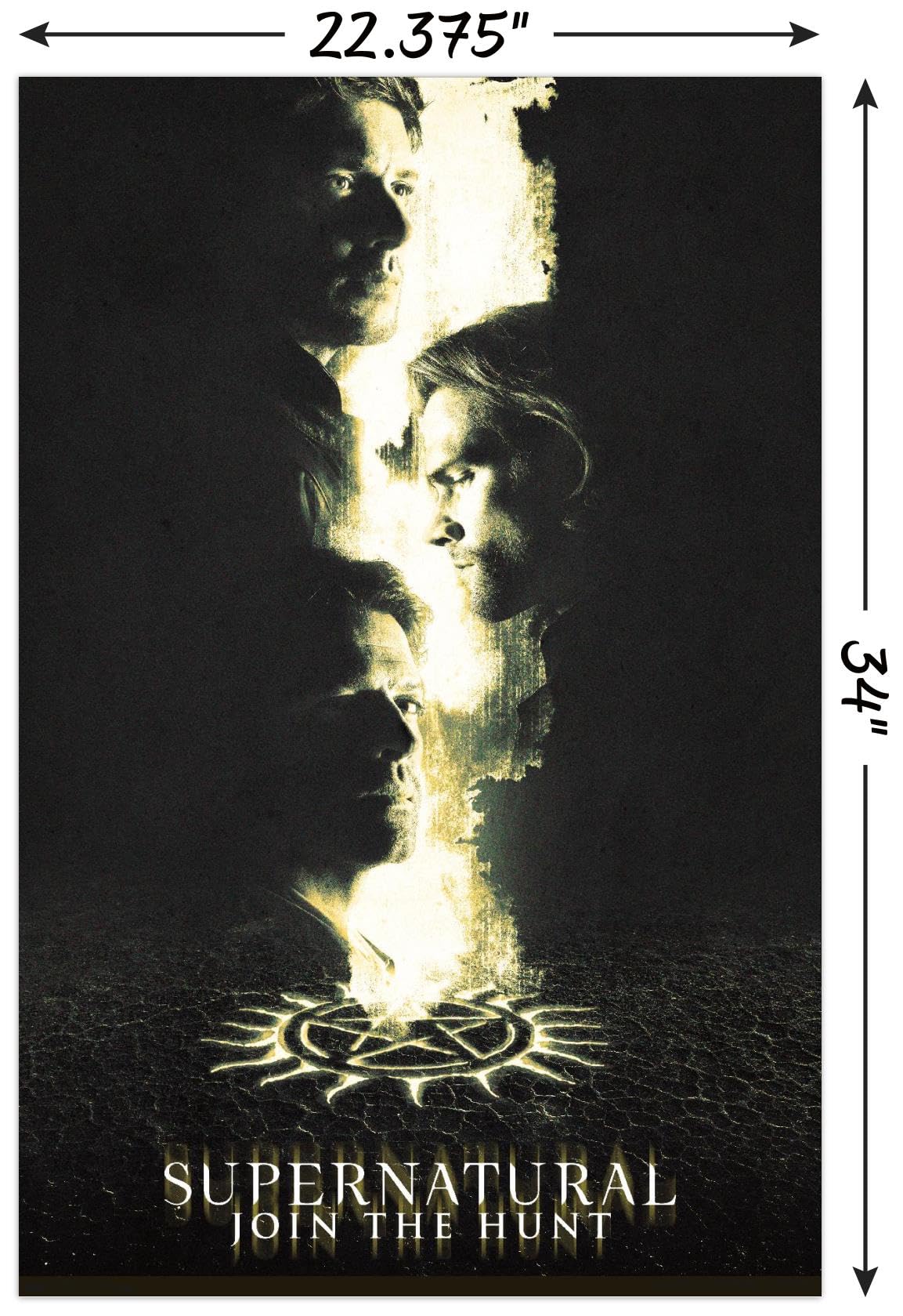 Amazon.co.jp: Trends International Supernatural - シーズン14