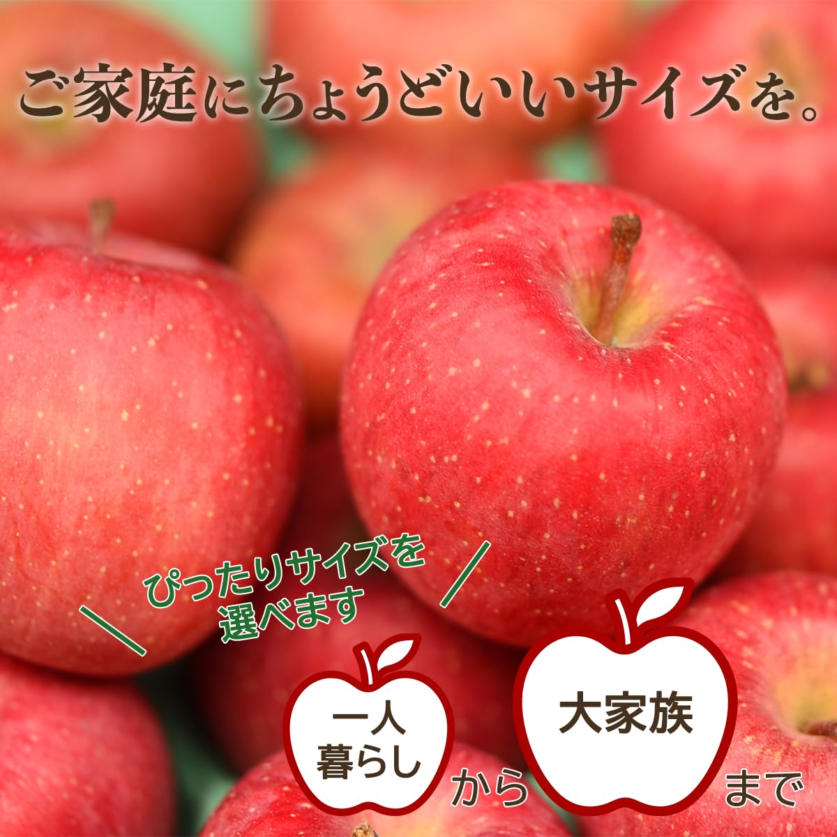 Amazon.co.jp: りんご 訳あり 5kg (13～20玉) 山形県産 サンふじ