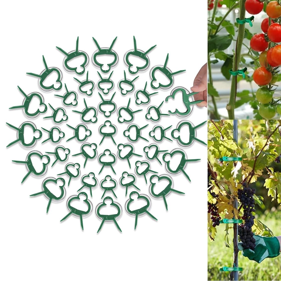 Plant Support Clips Secured Plastic Plant Clips Plant Fixing Clips for Climbing Plants Reusable Garden Tomato Plant Support Vine Clips Plant & Flower Lever Loop Gripper Clips (50pcs L)