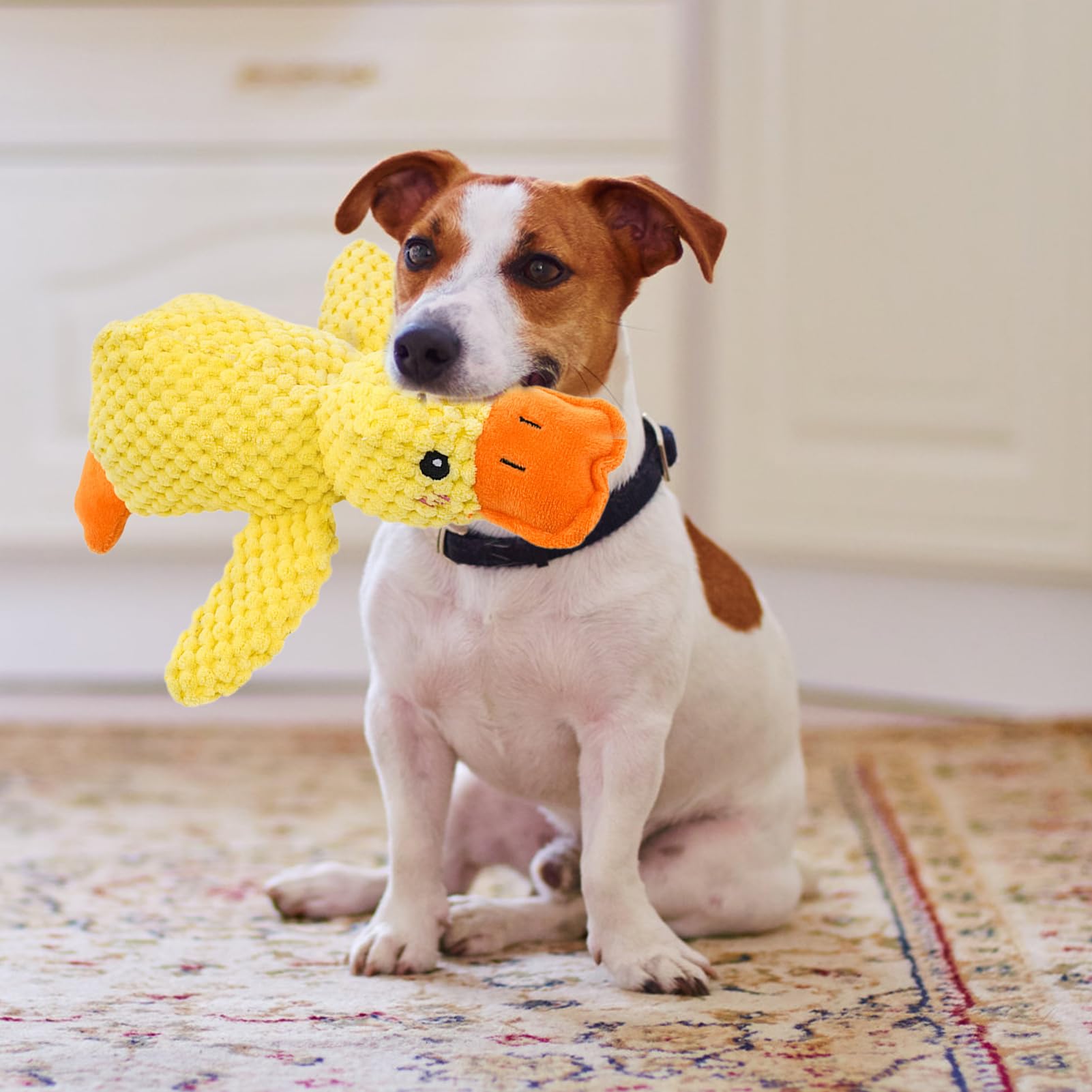 Giocattolo A Forma Di Da Cani Masticatori Aggressivi Interattivo per