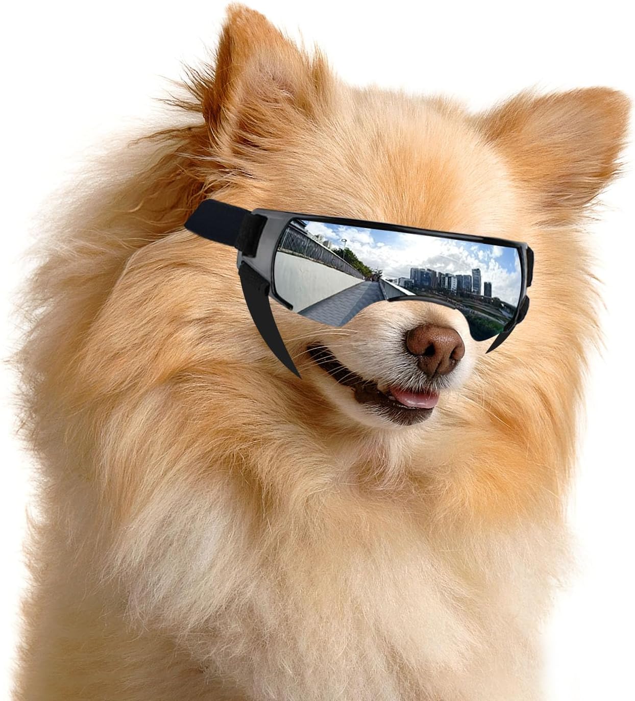 ENJOYING Dog Sunglasses Small Breed,...