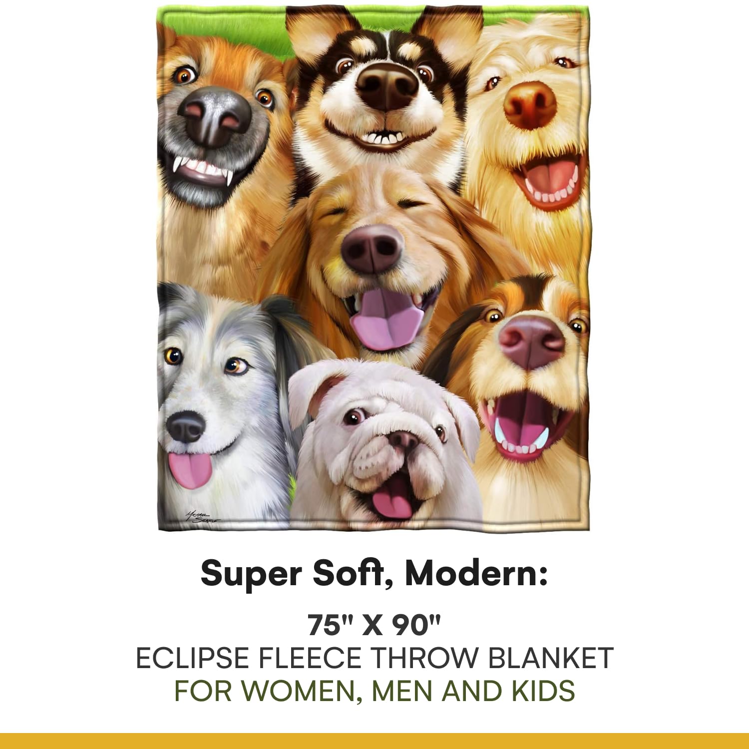 https://m.media-amazon.com/images/I/71SNQwQ0etL.jpg