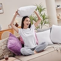 Vista 6 de Qeils - Juego de 2 rellenos de almohada de 12 x 20 pulgadas, rellenos de almohada blancos para sofá con funda de poliéster suave, insertos