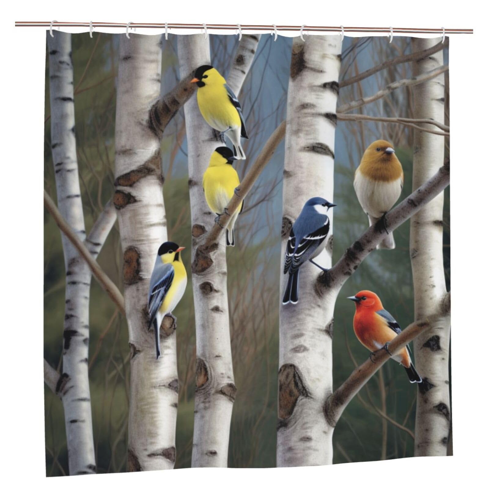 BWWHCCTI birds in birch tree Printed Shower Curtain With 12 Plastic Hooks Opaque Quick Drying Waterproof Shower Curtains Sets For Bathroom 183x183 CM