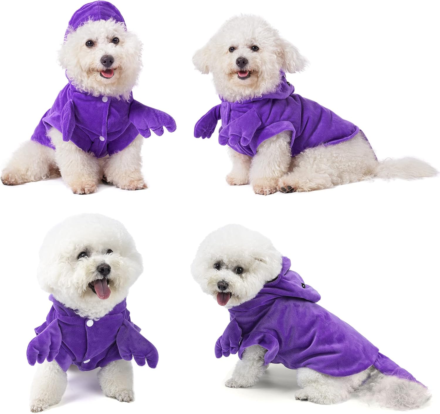 pmp pet apparel