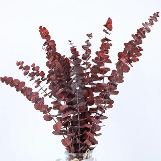 20pcs Dried Red Eucalyptus Stems 17" Natural Fresh Eucalyptus Plant for Shower Hanging, Wedding Decor Home Decor Farmhouse Decor DIY Spring Decor,Green