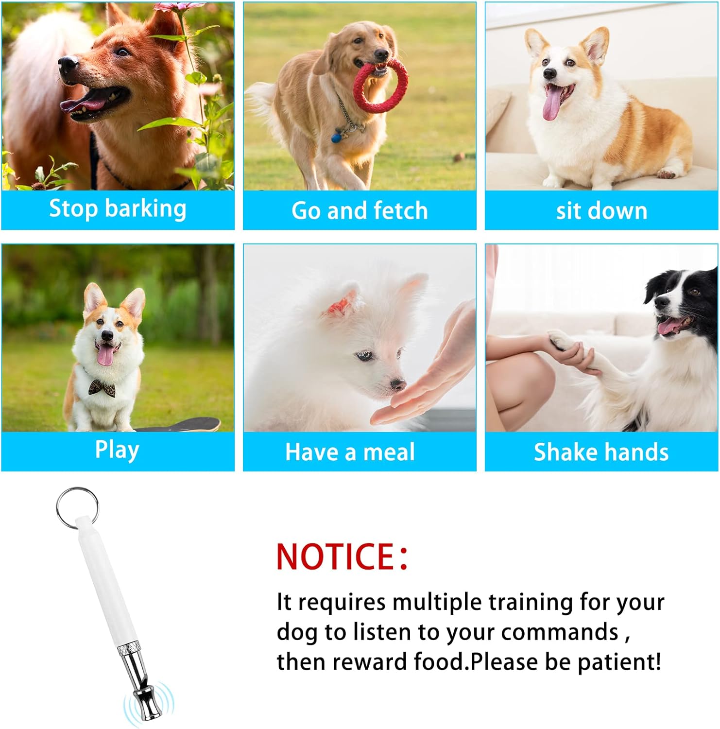 Neighbors How To Stop Your Dog From Barking Wikihow At Night How