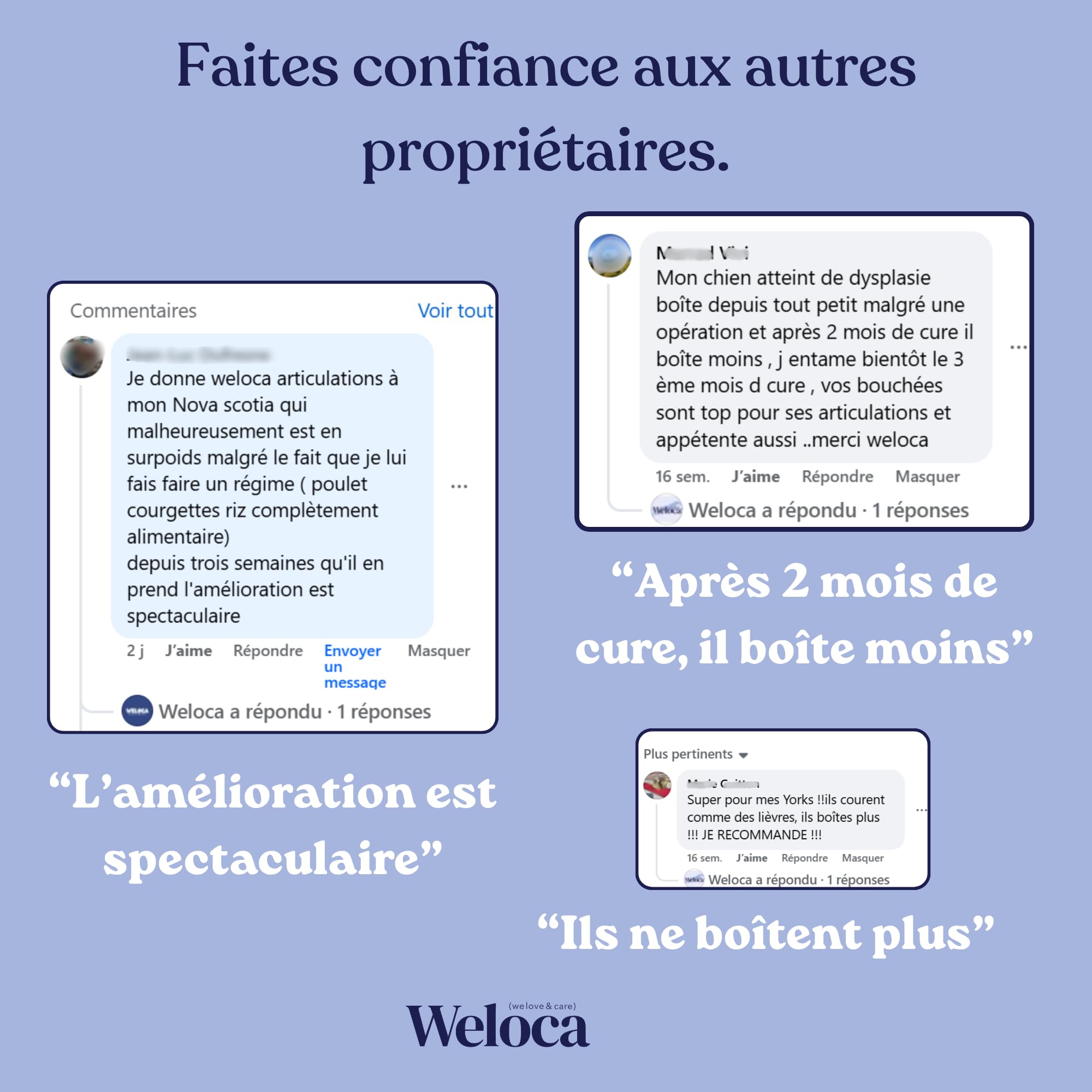Arthrose Chien | 120 compléments Premium | 11 Actifs puissants hautement dosés (Moule Verte, harpagophytum, chondroïne, Glucosamine) | Anti-arthrose, mobilité retrouvée | Formule vétérinaire