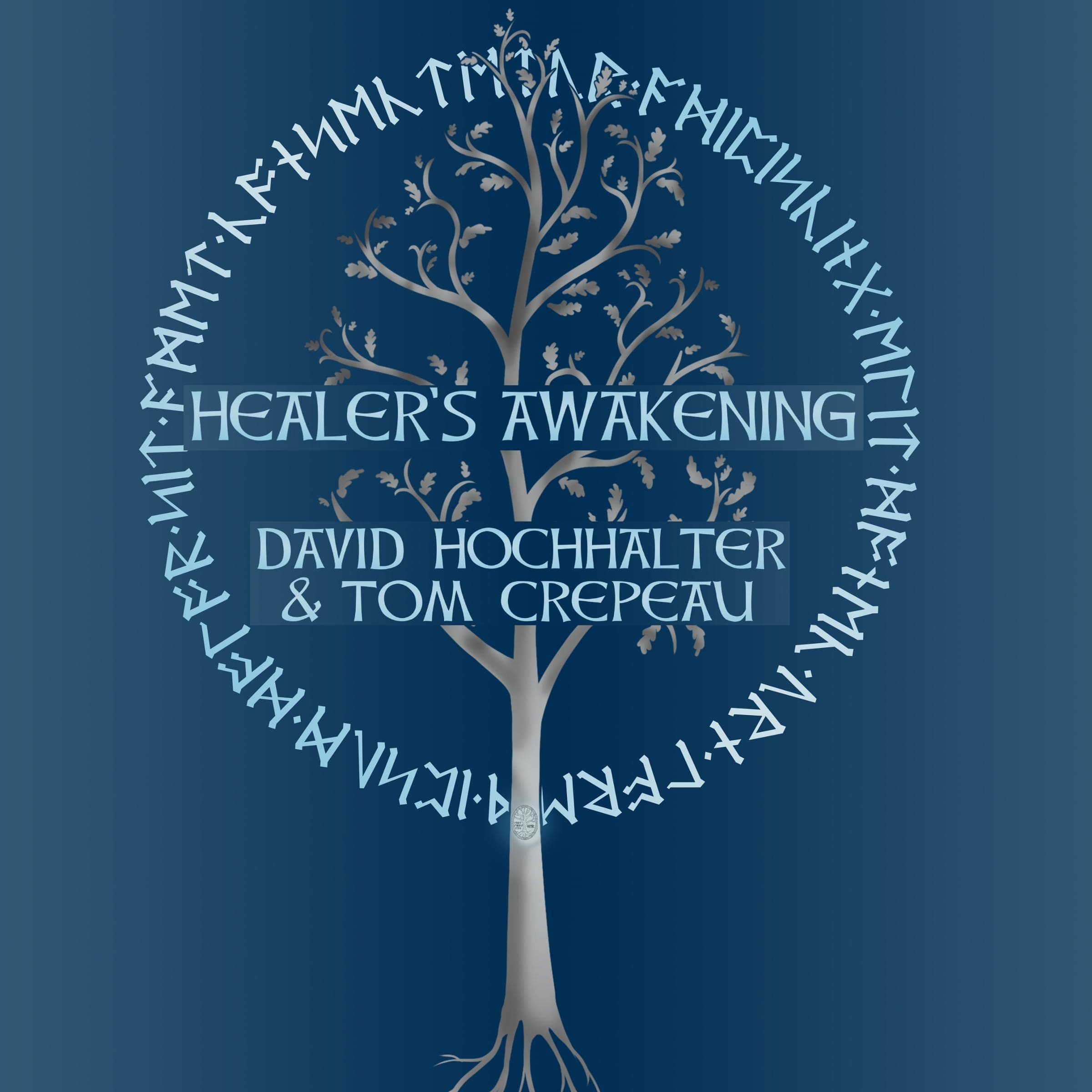 Cover art for Healer's Awakening