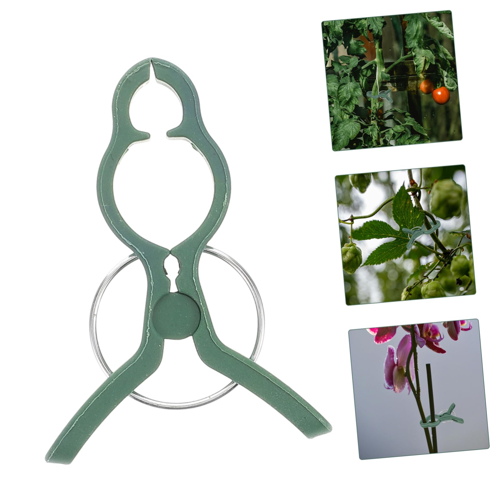 Set di 50 Clip in Plastica per Supporti per Pomodori, Resistenti e Facili da Usare, per Phalaenopsis e Piante da Giardino