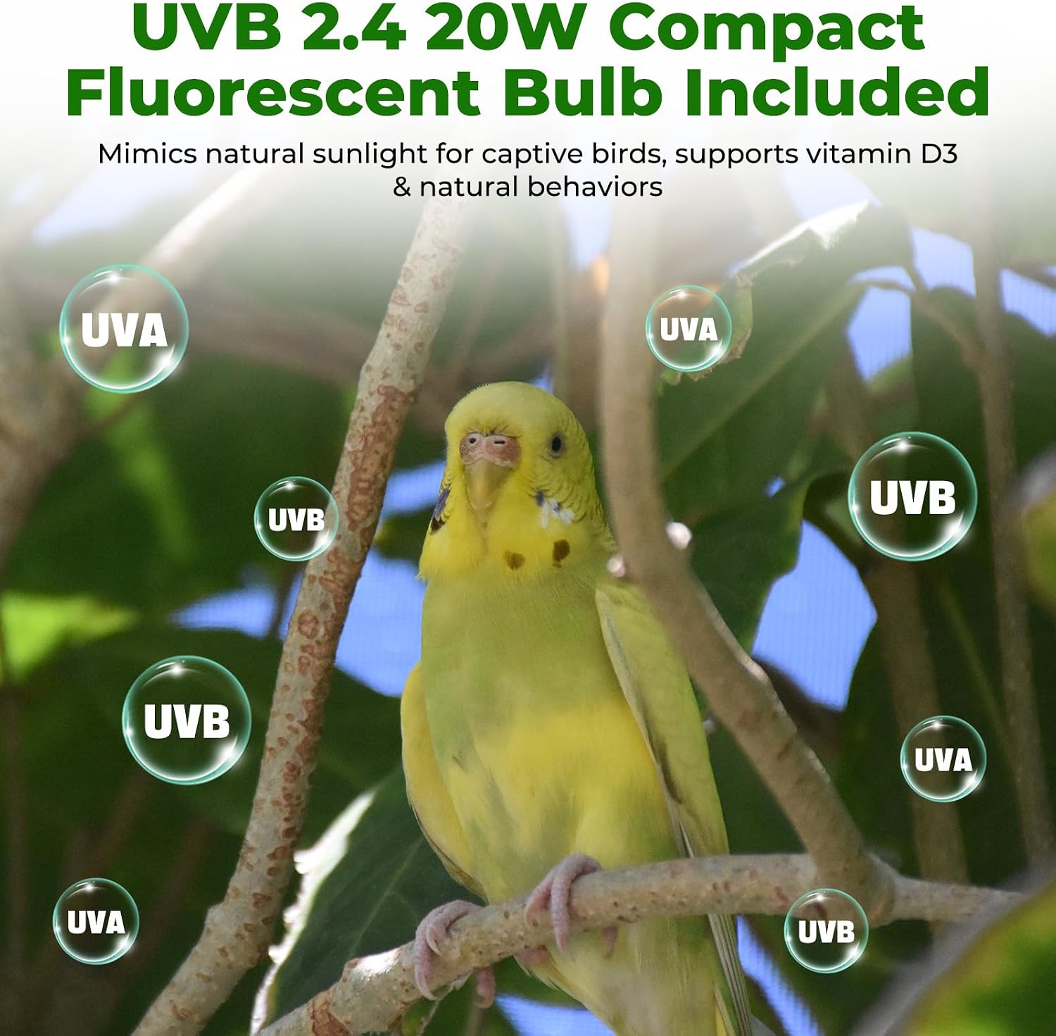 GlowUp UVB 2.4 Bird Cage Light Combo Kit, Bird lamp for Captive Birds