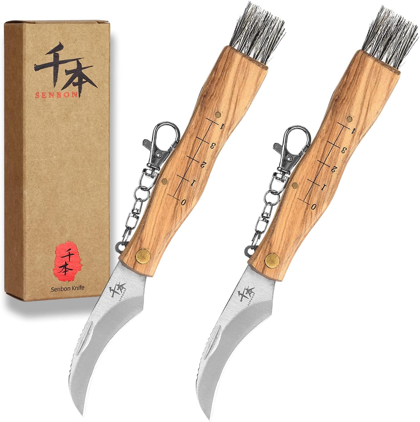 SENBON Outdoor Foldable Mushroom Knife Gardening Knife Portable Foraging Knife Fruit Picking Knife Natural Olive Wood Handle,2-Piece