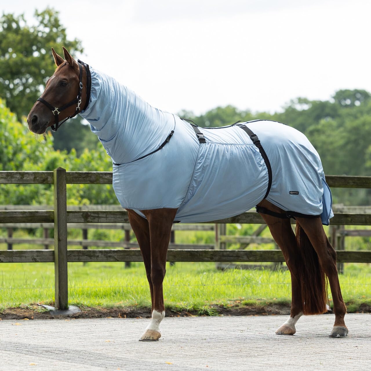 Horse Eczema Rug, Steel Blue, 100% Polyester, Breathable UV-Repellent, with Attached Neck and Wide Belly Flap (Steel Blue, 5'9" (175))