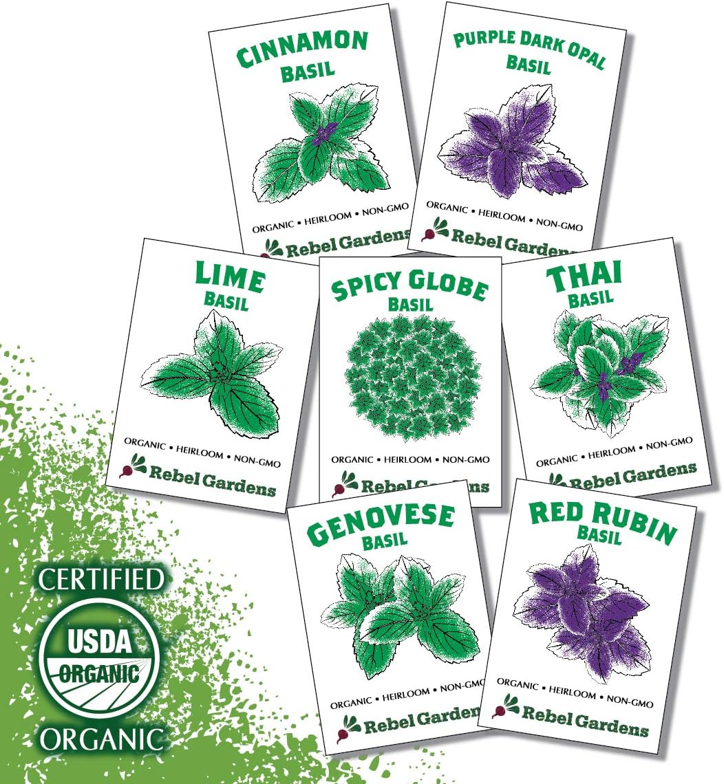 Organic Basil Seeds Set of 7 Heirloom NonGMO Seed