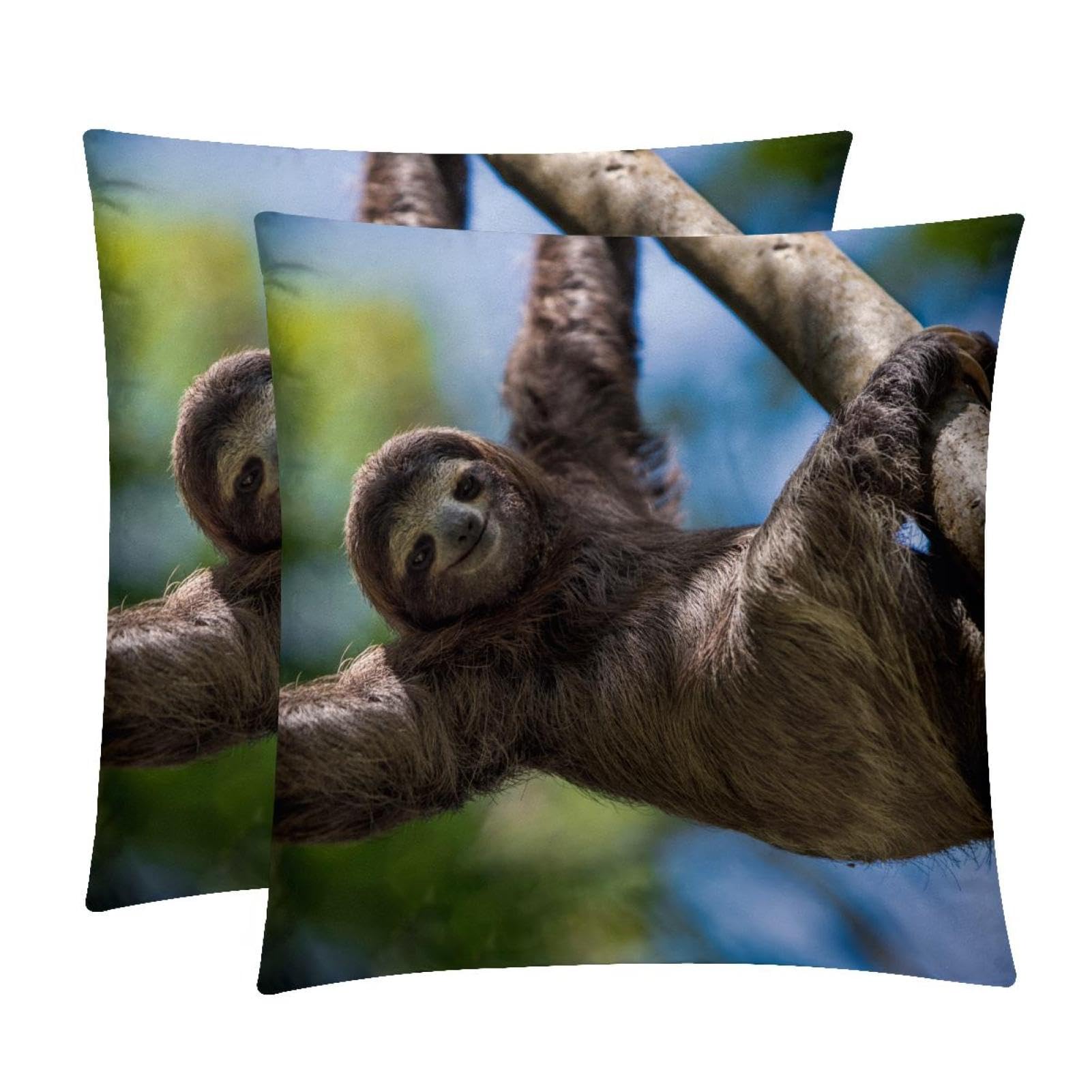 TDGKPZ Sloth Throw Pillow Covers 2 Pack Pillowcases Soft Cozy Pillow Cases For Couch Bed Sofa 40x40cm