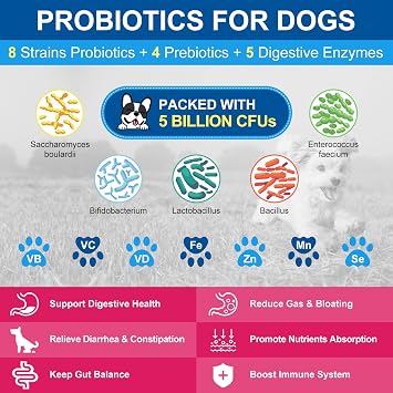 NATURE TARGET Dog Vitamins Powder, Probiotics & Digestive Enzymes for Gut Health, Glucosamine & Chondroitin & Omega 3, Complete Supplement for Homemade Dog Food, Joint & Skin & Immune Support | Probiotics & Digestive Enzymes for Gut Health, Glucosamine & Chondroitin & Omega 3, Complete Supplement for Homemade Dog Food