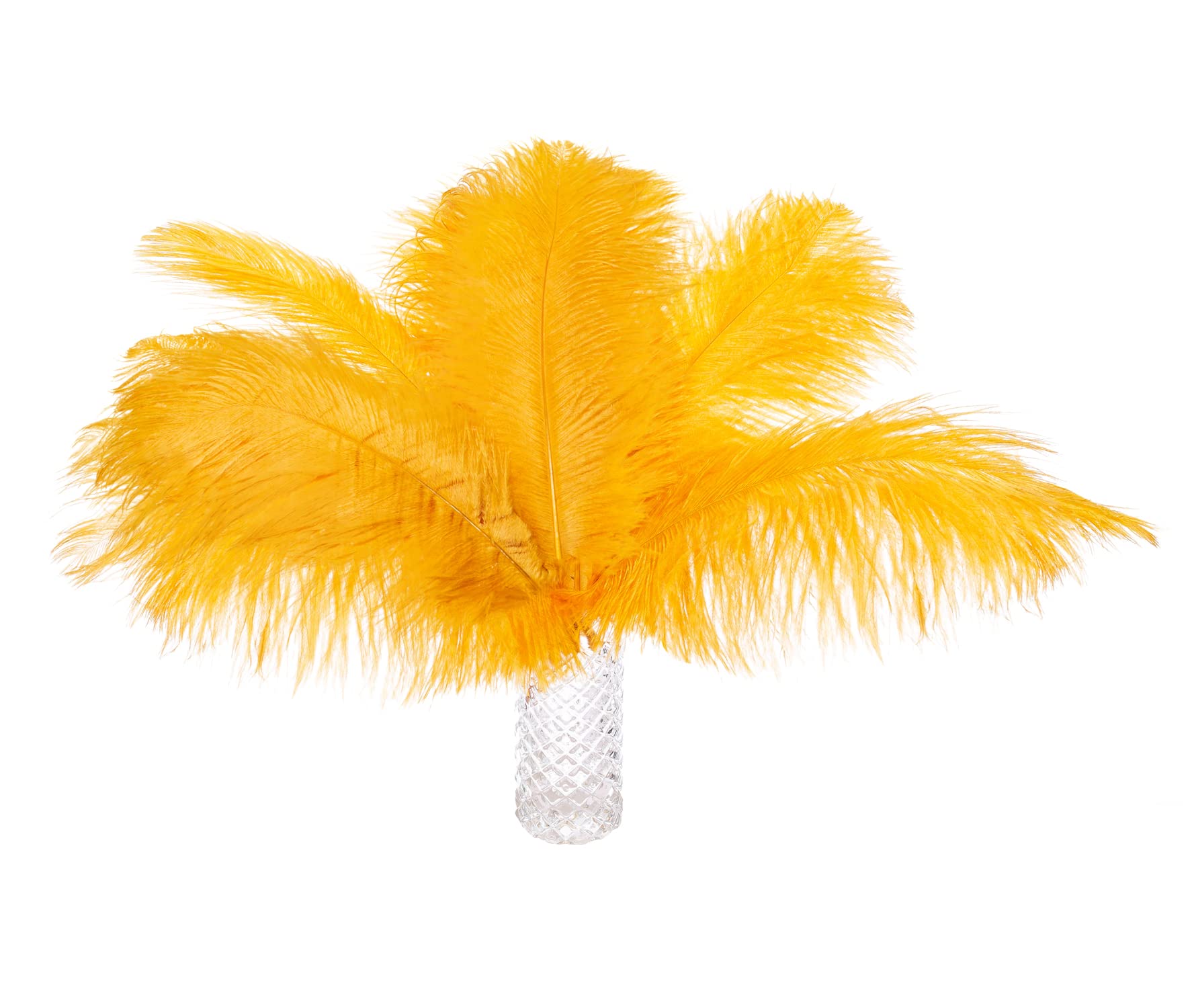 Zamplinka 12pcs Natural Ostrich Feathers 12-14inch (30-35cm) for Wedding Party Centerpieces，Flower Arrangement and Home Decoration.(Golden)