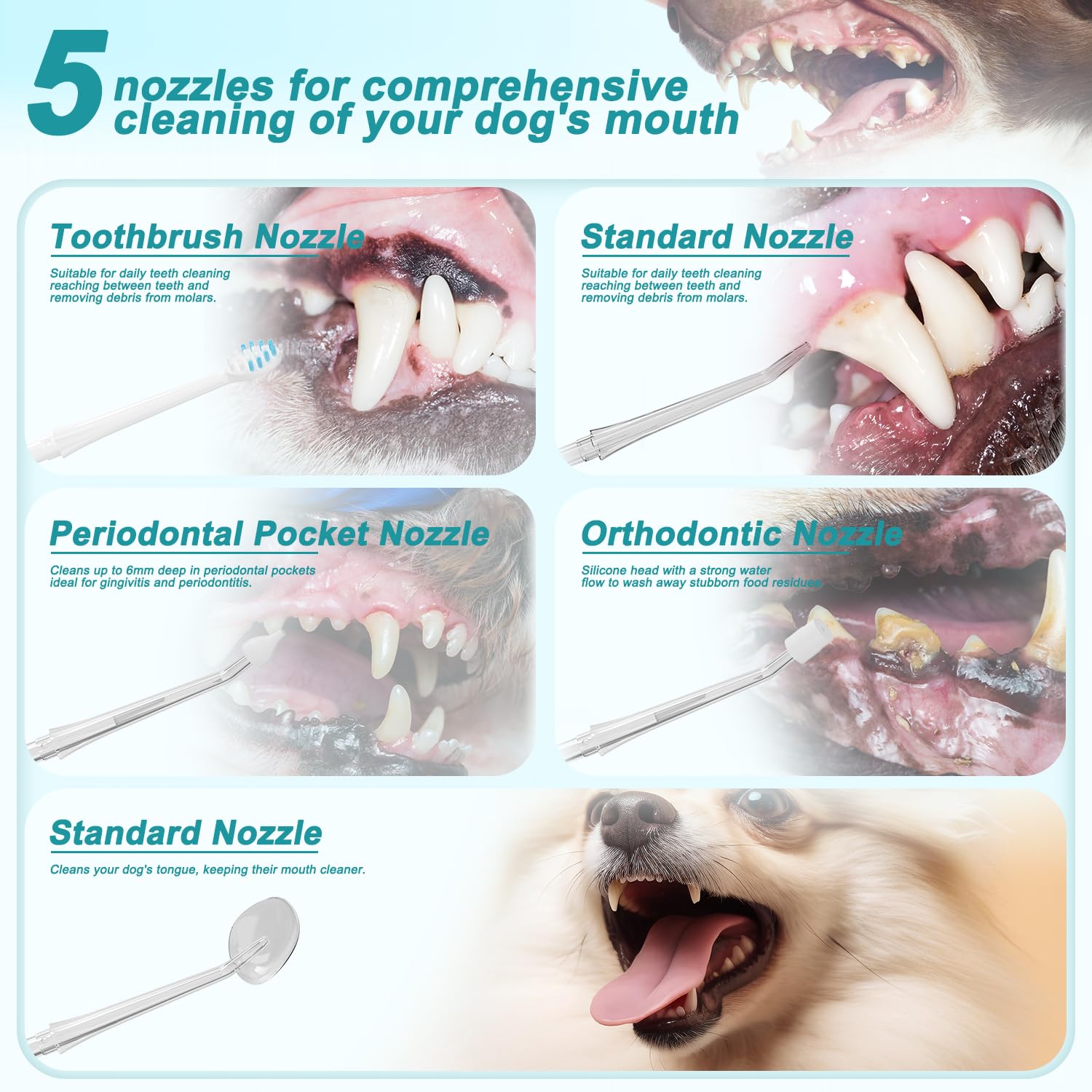 Irrigador Dental para Mascotas IPX7 300 ml 6 Boquillas 4 Modos Limpiador Eléctrico