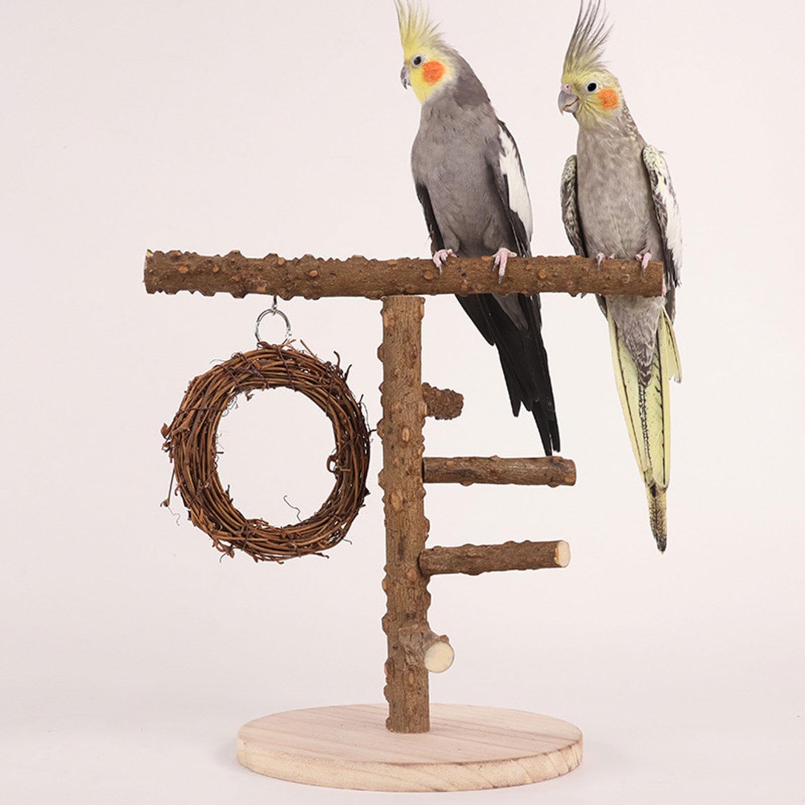 2 set di legno uccello parco giochi in legno stand giocattolo per calopsitte, piccioncini ara
