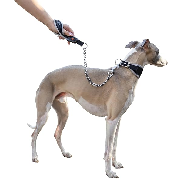 Ferplast Correa Metálica Antimordeduras para Perros ERGOCOMFORT Metal, Mango Ergonómico, Acolchado Suave
