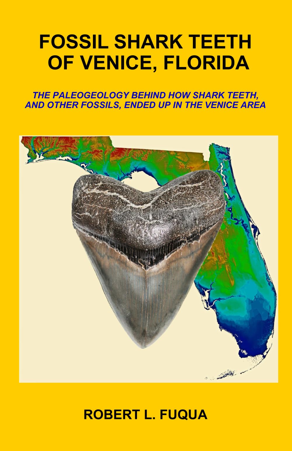Fossil Shark Teeth Of Venice, Florida: The paleogeology behind how shark teeth, and other fossils, ended up in the Venice area