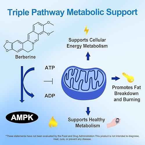 Miniatura 3 de Suplemento de berberina premium compatible con AMPK metabólico, berberina liposomal con canela de Ceilán - Fórmula clásica de 600 mg para un