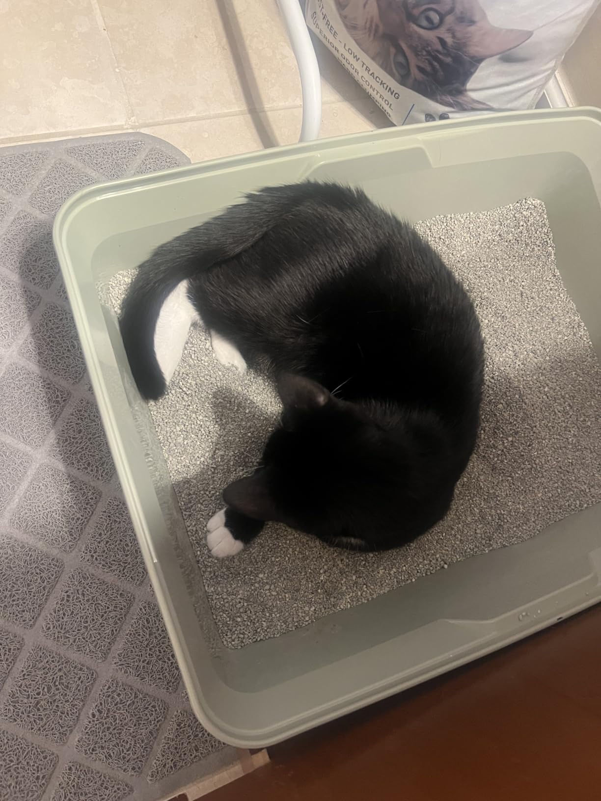 Dr. Elsey's Ultra Unscented Clumping Clay Cat Litter 18 lb Bag photo review