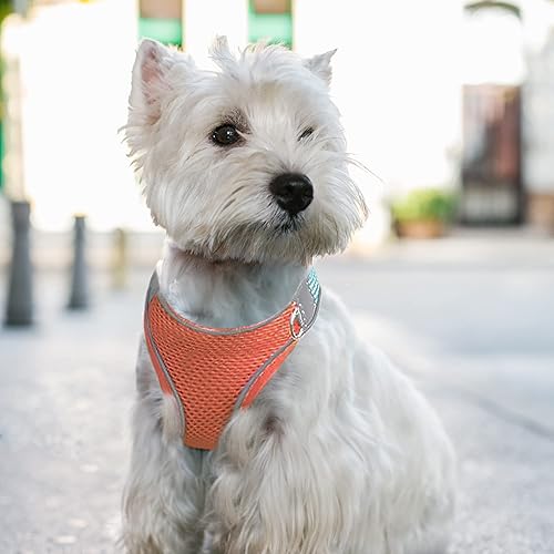 Miniatura 2 de SIMENA Arnés y correa para perros y gatos arnés de doble color para perros con bandas reflectantes arnés suave y transpirable para gatos naranja S