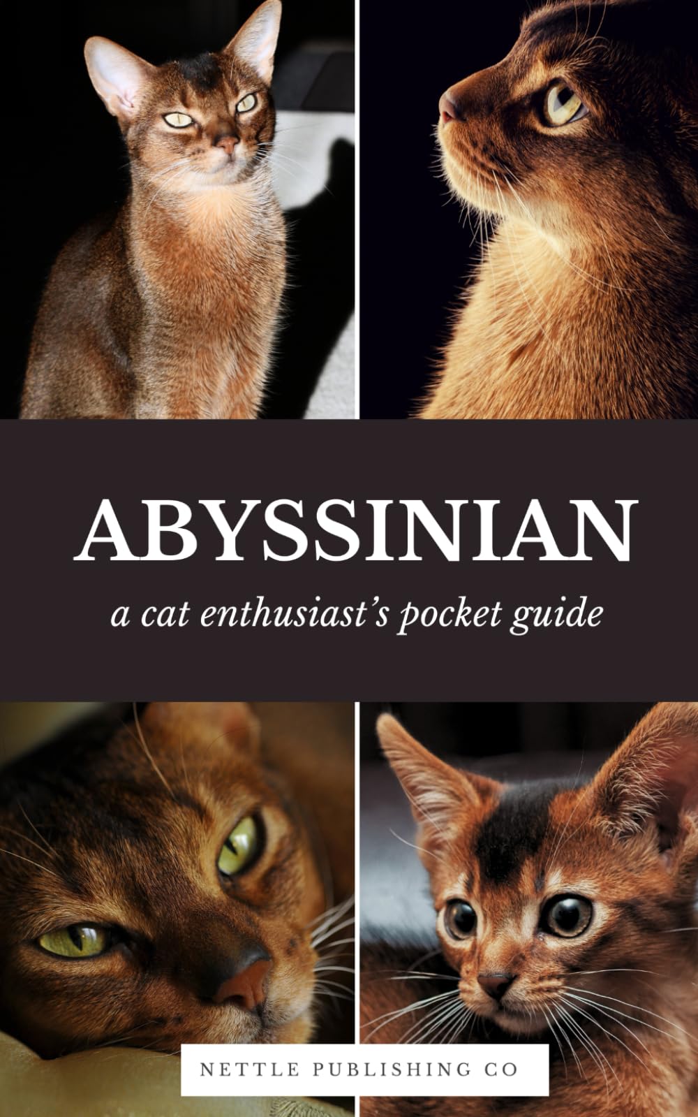 Abyssinian Cats | A Complete Pocket Guide: Breed-Specific Care Handbook With Pet Passport with Records Logbook (Cat Breeds by Nettle Publishing Co)