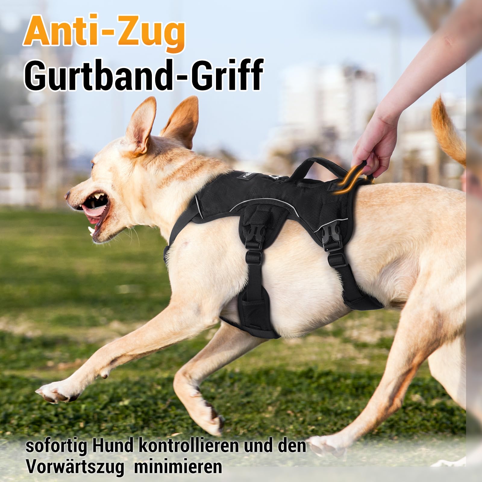 rabbitgoo Ausbruchsicheres Hundegeschirr Mittelgroße Hunde mit Griff, Anti Zug Sicherheitsgeschirr Hund Atmungsaktiv, Verstellbare Brustgeschirr, Gepolstertem Hundeweste, Panikgeschirr, Schwarz M