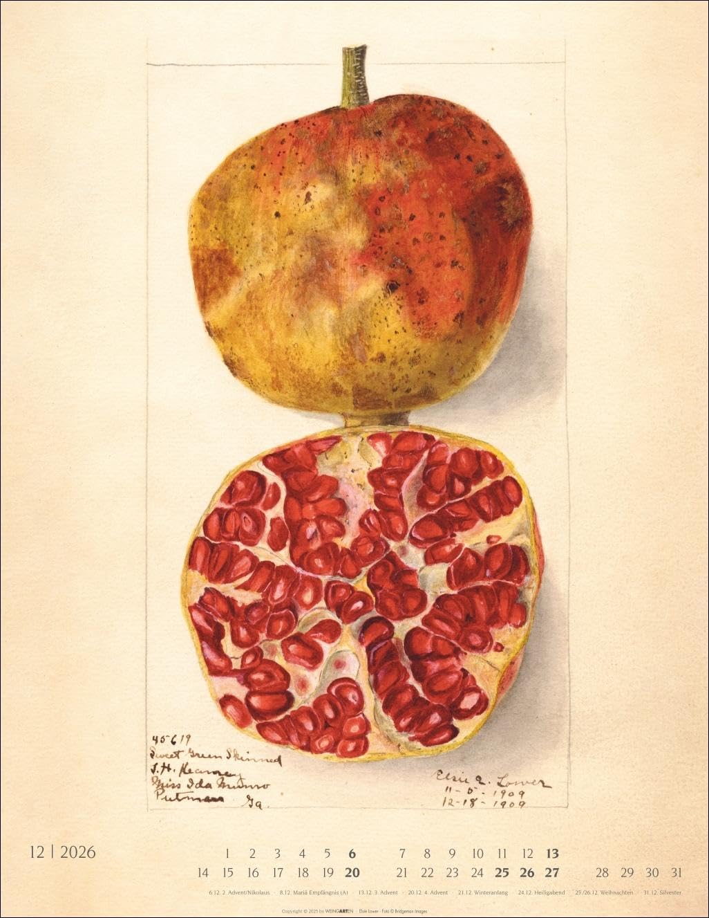 Alte Sorten Kalender 2026: Dekorativer Wandkalender mit historischen Zeichnungen. Die Klassiker im Obstgarten in Szene gesetzt: Natur- und Food-Kalender im Format 34 x 44 cm