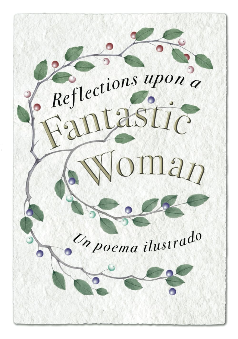 Reflections upon a Fantastic Woman Livre Poésie Art Graphique Recueil Illustré
