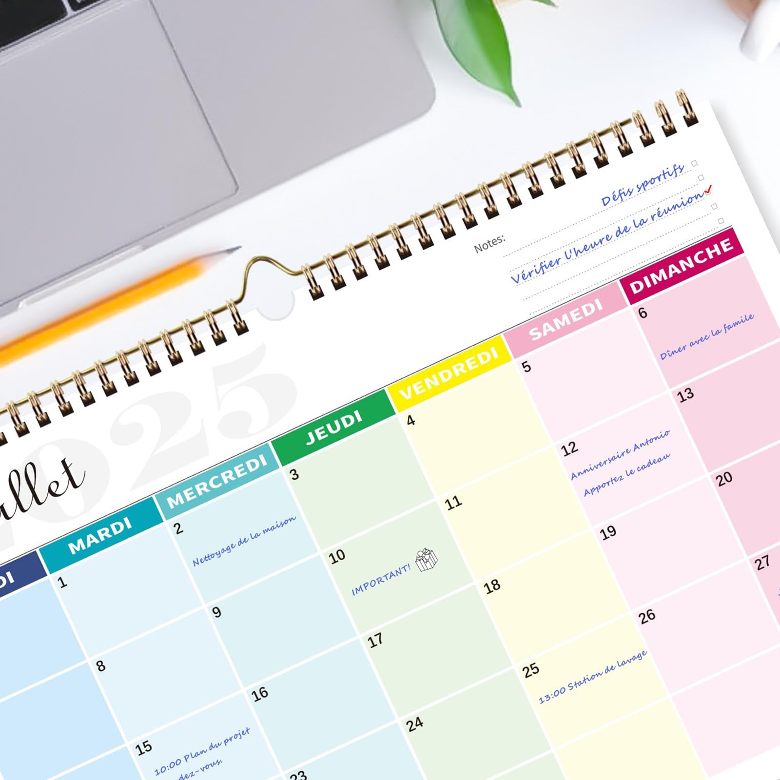 Calendrier 2026 Mural Coloré 18 Mois 31 x 21cm Familial Juillet 2025 à Décembre 2026 Mensuel