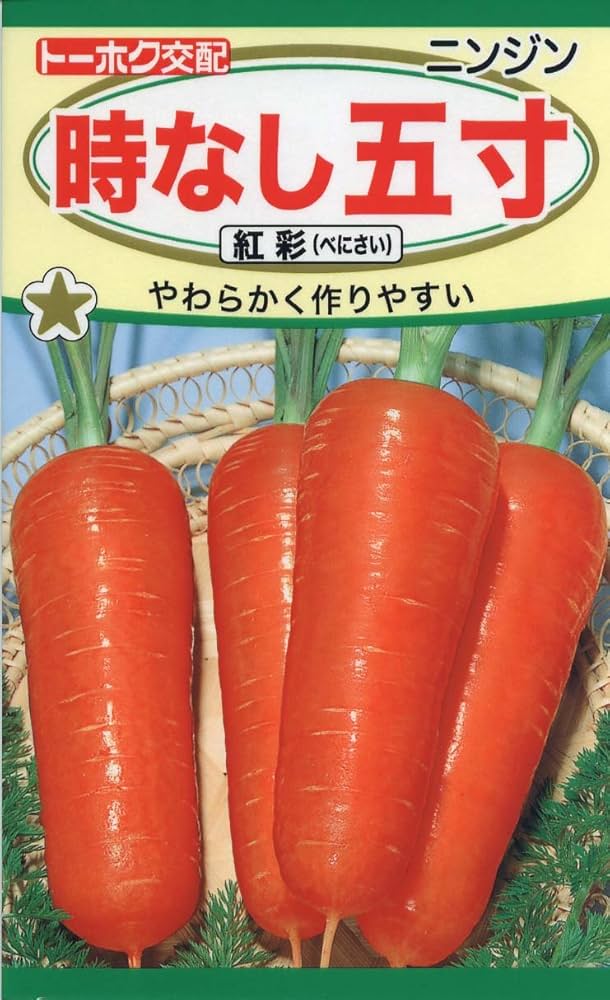 ninnin人参さま専用 あじわい五寸ニンジン(販売終了) | 花＆グリーン 通販